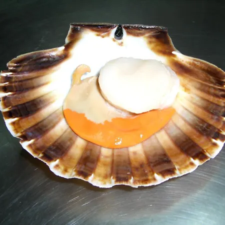 Miryam L' Escala
