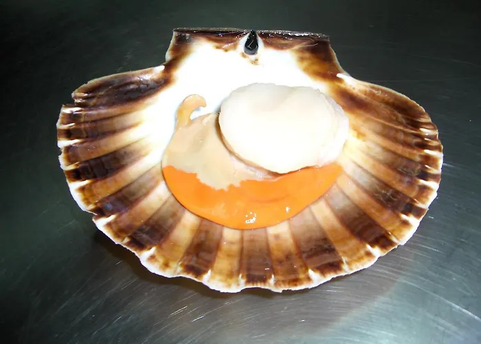 Miryam L' Escala